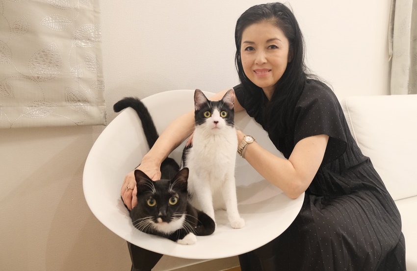 猫　藤あや子
